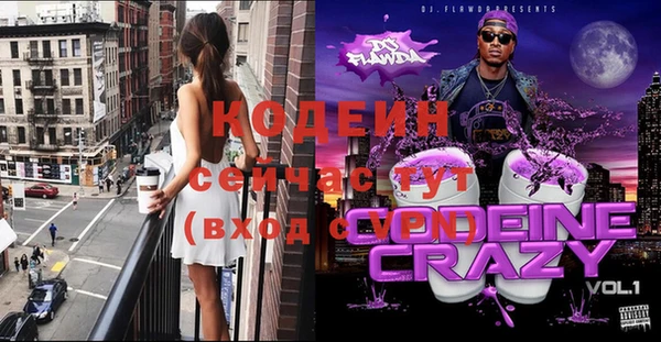 меф Вяземский